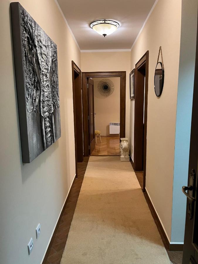 Apartman Nina 科托尔 外观 照片